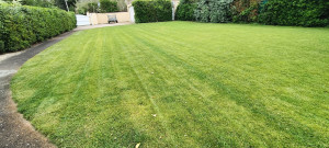 Photo de galerie - Tontes 