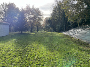 Photo de galerie - Tonte de pelouse 