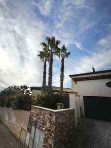 Photo de galerie - Elagage et coupe d'arbres