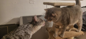 Photo de galerie - Interaction sympa 