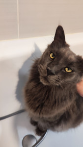 Photo de galerie - Le roi ❤️