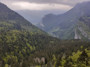 Photo de galerie - Mon meilleur soihait