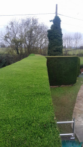 Photo de galerie - Paysagiste - Aménagement du jardin