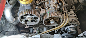 Photo de galerie - Entretien courant