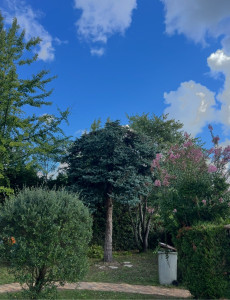 Photo de galerie - Après 