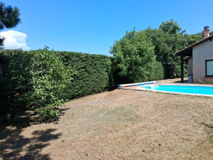 Photo de galerie - Taille de haies et d'arbustes