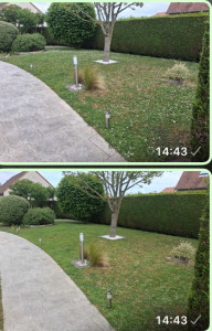 Photo de galerie - Tonte de pelouse