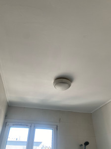 Photo de galerie - Peinture plafond 
