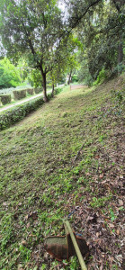 Photo de galerie - Debroussaillage 