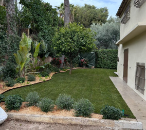 Photo de galerie - Placage gazon 