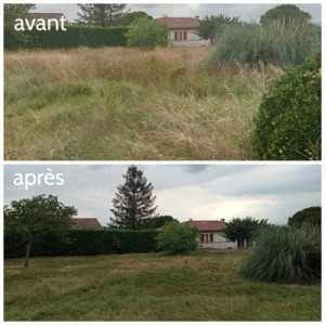 Photo de galerie - Débroussaillage grand terrain