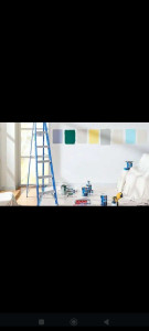 Photo de galerie - Peinture professional 