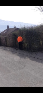 Photo de galerie - Taille de haies et d'arbustes