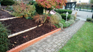 Photo de galerie - Paysagiste - Aménagement du jardin