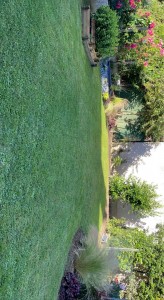Photo de galerie - Tonte de pelouse - Débroussaillage