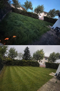 Photo de galerie - Tonte pelouse résultat très correct ?