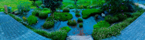 Photo de galerie - Paysagiste - Aménagement du jardin