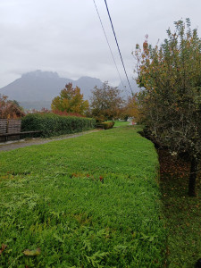 Photo de galerie - Réalisé le 20 et 21 octobre
haie de Thuya