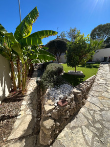 Photo de galerie - Entretien de jardin