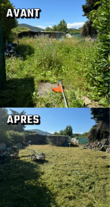 Photo de galerie - Tonte de pelouse - Débroussaillage