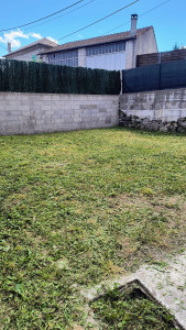 Photo de galerie - Après la tonte.