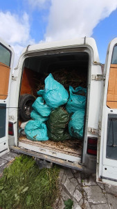 Photo de galerie - Évacuation de déchets verts. Châteauroux.