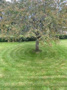 Photo de galerie - Entretien de jardin