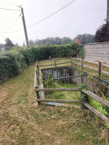 Photo de galerie - Tonte de pelouse 