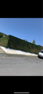 Photo de galerie - Après le taillage de la haie