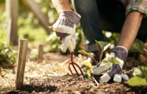 Photo de galerie - J'exécute toutes les tâches rapidement, en toute sécurité et avec qualité.
