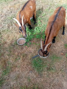 Photo de galerie - Bricolage et multi services