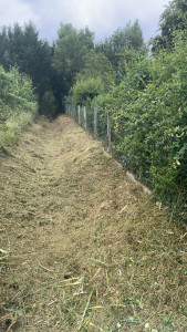 Photo de galerie - Tonte de pelouse - Débroussaillage