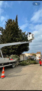 Photo de galerie - élagage 