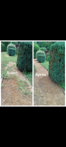 Photo de galerie - Désherbage 