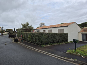 Photo de galerie - Rabattage d'une haie d'elagnus
de 30cm.