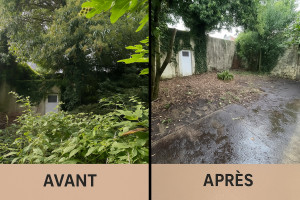 Photo de galerie - Mise au propre d’un terrain non entretenue depuis des années pour une vente immobilière.