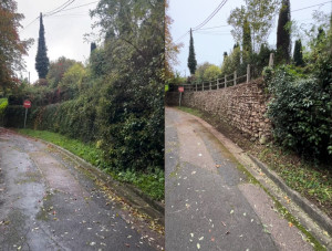 Photo de galerie - Nettoyage complet d’un mur en pierre de 25 m et également nettoyage de la barrière après la suppression du lierre 