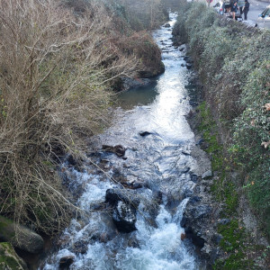 Photo de galerie - Petite photo sympa