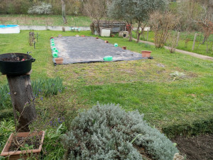 Photo de galerie - Tonte de pelouse - Débroussaillage