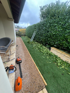 Photo de galerie - Taille de haies et d'arbustes