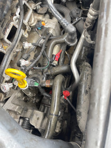 Photo de galerie - La révision 