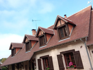 Photo de galerie - Nettoyage de toiture et réfection des pigeons a la chaux