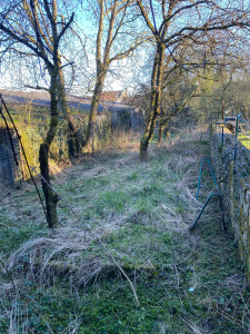 Photo de galerie - Tonte de pelouse - Débroussaillage