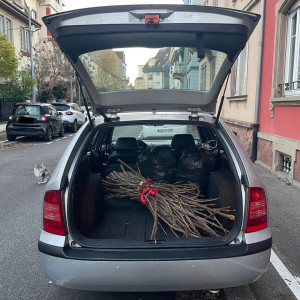 Photo de galerie - Bois et végétaux