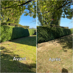 Photo de galerie - Pose de grillage avant après 