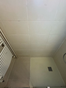 Photo de galerie - Salle de bain 