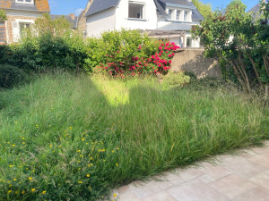 Photo de galerie - Tonte de pelouse - Débroussaillage