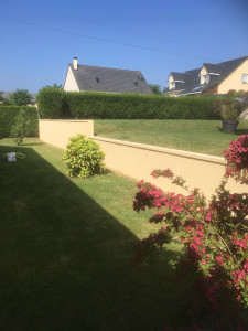 Photo de galerie - Rénovation, mur, extérieur, peinture