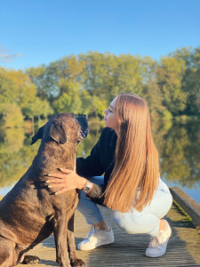 Photo de galerie - Garde de chien 