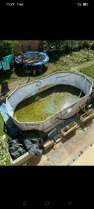 Photo de galerie - Entretien piscine